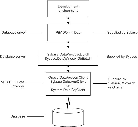 The development environment connects to the database via the P B A D O dot NET D L L, the Sybase dot PowerBuilder dot D B and D B ext D L Ls, and the dot net framework data provider system dot data dot sequel client, oracle dot data access dot client, or sybase dot data doe a s e client.