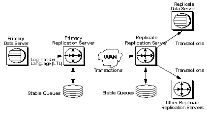 Figure 1-3 illustrates how data is replicated from a primary database to replicate databases. The L T L reads the primary database log and converts transactions for tables or stored procedures that are marked for replication into commands that are sent to Replication Server. The primary Replication Server stores the transactions in a stable queue. It also determines which Replication Servers manage replicate database with subscriptions for the data. In this figure, the primary Replication Server sends the transaction through wan to the replicate Replication Server. The replicate Replication Server either routes the transaction to another Replication Server or applies the transaction to replicate databases that it manages or both.
