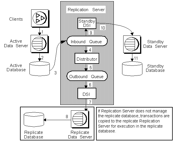 Figure 3-6 illustrates a warm standby application for primary database. In this example, one Replication Server manages three databases, the active database for a logical primary database, the standby database for logical primary database, and a replicate database that has subscriptions for the data in the logical primary database. A single Replication Server manages both the primary and replicate databases. In other instances, different Replication Servers may manage the primary and replicate databases. The numbers in the figure indicates the flow of transactions from client applications through the replications system in a warm standby application for a primary database. The inbound queue is read by the standby D S I and the Distributor. The two threads do their work concurrently.