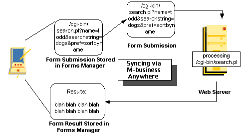 Form submitted to Web server, which returns results