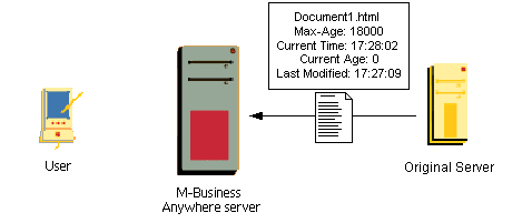 M-Business Sync Server stores information about cached pages