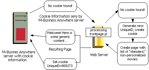 Setting cookie on user's first visit