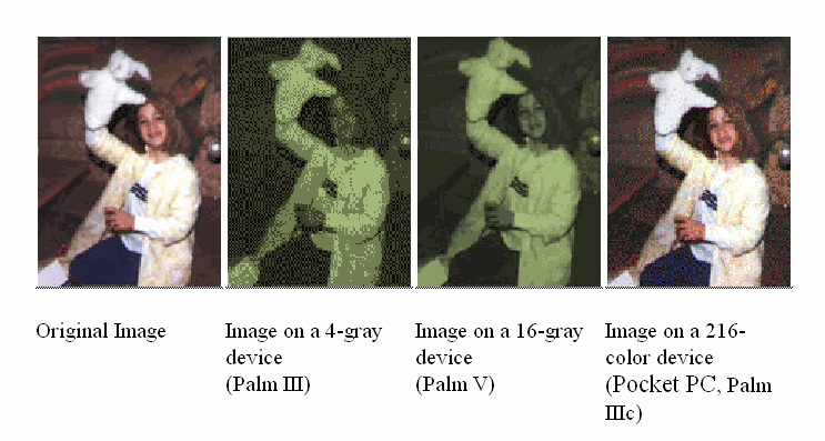 Typical photo displayed on different devices