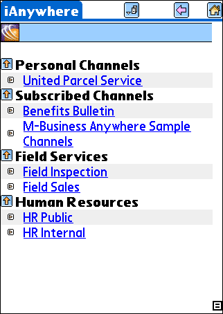 M-Business Client home page on Palm OS device
