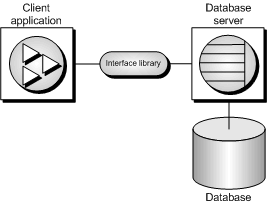 A client connection to a database, showing the client application, the interface library, and the database server running the database.