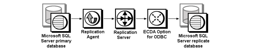 Sybase replication system components: Microsoft SQL Server primary database, Replication Agent, Replication Server, ECDA Option for ODBC, and Microsoft SQL Server replicate database.