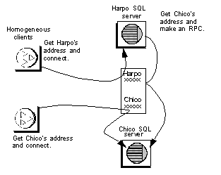 Image shows a homogeneous system where all the clients and servers connect through the interfaces file.