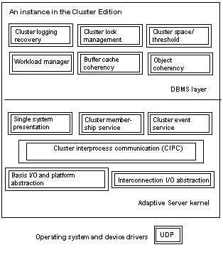 Image shows the four levels of the cluster: the Operating System and device layer, the Adaptive Server layer, the DBMS layer, and at the top, an instance running in the cluster.