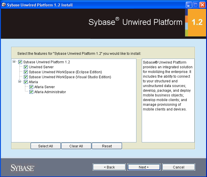 Custom installation options screen