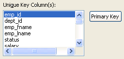 The sample shows a box titled Unique Key Columns. The emp _ i d column is highlighted. To the right of the displayed columns is a Primary Key button.