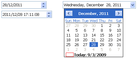 The first control shows a date and the second shows a date and time in a simple one-line box. The third control shows a calendar format with the selected date highlighted.