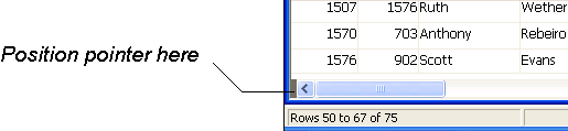 The sample shows the lower left quadrant of a Data Window object. At bottom is a horizontal scroll bar. Next to it is the text Position pointer here and a line pointing to a black space at the left end of the scroll bar.