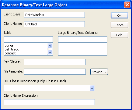 The sample shows the Database Binary / Text large Object dialog box. 