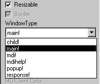 Shown is the Window Type drop down list.
