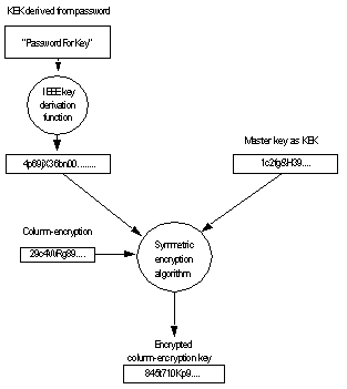 Image shows a flow chart with the system encryption key giving user access to the IEEE key, which gives access to the key-encryption key, which in turn gives access to the symmetric encryption algorithm