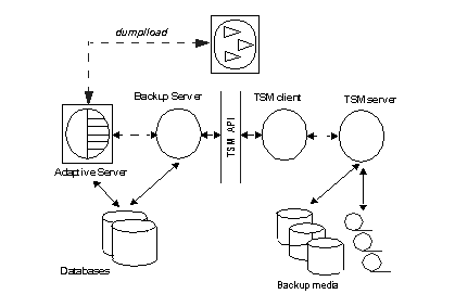 Image shows the combination of Adaptive Server, the TSM client, and the TSM server