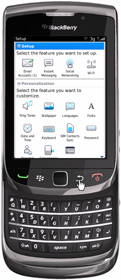 BlackBerry simulator Setup page