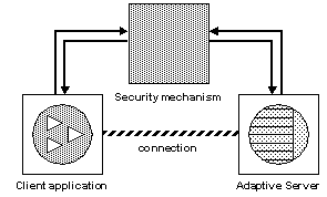 Graphic showing a client and an Adaptive Server connecting through a secure connection.