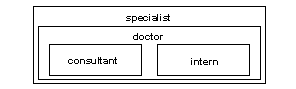 Image shows a large box labled "Specialist" with another box inside labled "doctor" which includes two smaller boxes inside labled "intern" and "consultant"