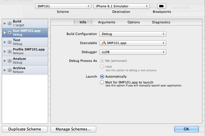 SMP101 | iPhone 6.1 Simulator Scheme