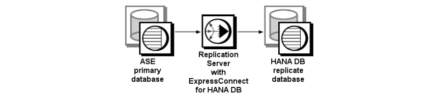 This figure                         displays the Sybase replication system components: ASE primary database,                         Replication Agent, Replication Server with ExpressConnect for HANA DB, and                          HANA DB replicate database.
