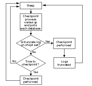 Flow chart showing how the checkpoint process works. See the accompanying text for full explanation.