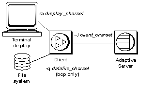 Graphic showing a terminal display, client, file system device, and Adaptive Server, each configured for their own character set