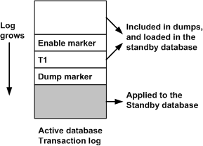 Figure 3-2 illustrates the use of dump and load with dump marker through an Active database transaction log. A transaction T 1, executed after adding the standby database, appears after the enable replication marker in the log. T 1 is included in dumps, and is loaded in the standby database after loading the dumps. Replication Server does not need to replicate it into the standby database. Transactions can be executed in the active database between the time the enable replication marker is written and the time the data in the active database is dumped. 