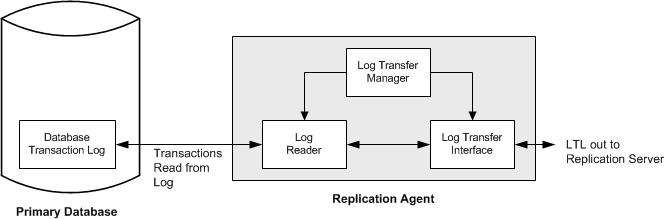 Figure 5-3 illustrates Sybase Replication Agent data flow from the primary database to Replication Agent with processing by the three components within Replication Agent, which are Log Reader, Log Transfer Manager, and Log Transfer Interface. After processing by Replication Agent, L T L output is generated and sent to Replication Server.