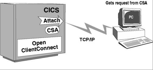 The figure shows the CSA processing overview for gateway-less environments. 