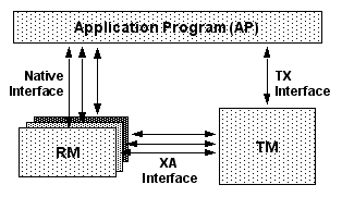 In this figure of the conceptual view of the X/Open DTP model, the application program interacts with RM in the native interface, and with TM in the TX interface. In addition, RM and TM interact in the XA interface.