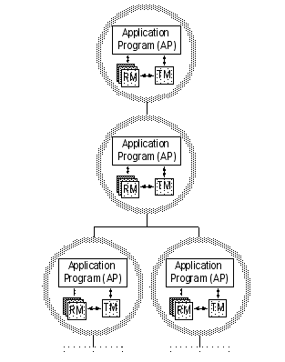 This figure shows transaction branches, where one transaction is connected to another transaction, which in turn is connected to two transactions, and so on.