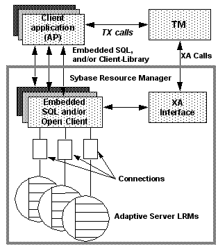 In this figure of the Sybase X A D T P model, the client application and T M communicate via T X calls. The Client applications and Embedded SQL and or open client communicate with each other. The TM also communicates with the XA interface. In addition, the embedded SQL and or Open Client communicates with the X A interface. The Embedded SQL and or open client then also have connections to Adaptive Server LRMs.