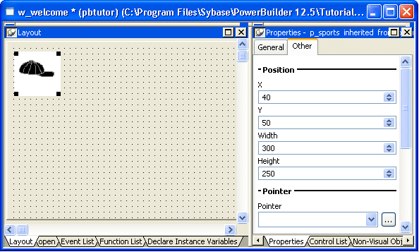 Shown at left is the layout view, a large gray rectangle with a grid of dots that represents the window you are building. A picture of a baseball cap is displayed in the top left corner. At the right of the screen is the Other tab of the Properties view with spin controls for X and Y coordinates set to 40 and 50, respectively, then a Width control set to 300 and a Height control set to 250. At bottom is a blank drop down list box labeled Pointer with a browse button to its right..
