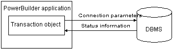 Within the PowerBuilder application is a transaction object . It connects to the database or DBMS using connection parameters. The database sends status information back to the transaction object.