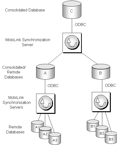 The consolidated database is shown at the top with MobiLink connections to  intermediate layer dabases that serves both as remote databases to the top-level consolidated database and as a consolidated database for lower level remote databases.