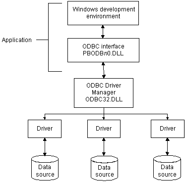 The figure illustrates the components of an ODBC connection. At top is the Application, which consists of the Windows development environment and the ODBC  interface called P B O D B n 0 dot D L L. The application elements are connected by two-way arrows to each other and to the next component, the ODBC Driver Manager called ODBC 32 dot D L L. The Driver Manager connects by an arrow to several driver components. These in turn are each connected by two-way arrows to data sources.