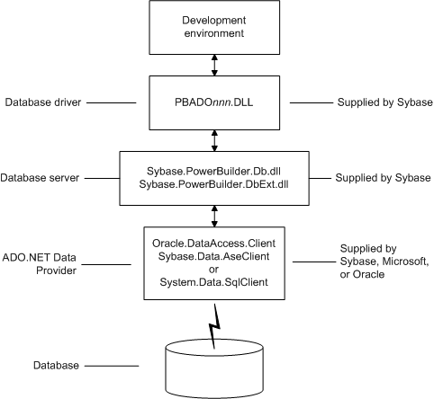 The development environment connects to the database via the P B A D O dot NET D L L, the Sybase dot PowerBuilder dot D B and D B ext D L Ls, and the dot net framework data provider system dot data dot sequel client, oracle dot data access dot client, or sybase dot data doe a s e client.