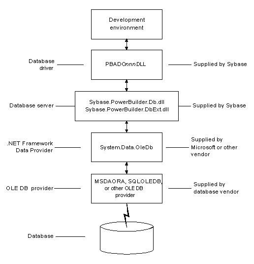 For an OLE DB ADO.NET connection, the development environment connects to the database via the P B A D O dot NET D L L, the Sybase dot PowerBuilder dot D B and D B ext D L Ls, the dot net framework data provider system dot data dot ole DB, and an ole d b data provider.