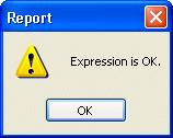 Shown is a message box titled Report with an exclamation point icon and the text "Expression is OK."