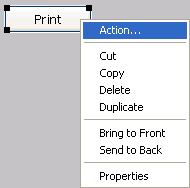 The pop-up menu for the button includes the Action item.