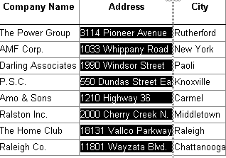 Shown is a grid displaying multiple rows of data in columns named, from left to right, Company Name, Address, and City. The Address column is highlighted and a gray line is displayed at the right border of the column.