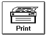 Shown is a button with a picture of a printer and the text "Print."