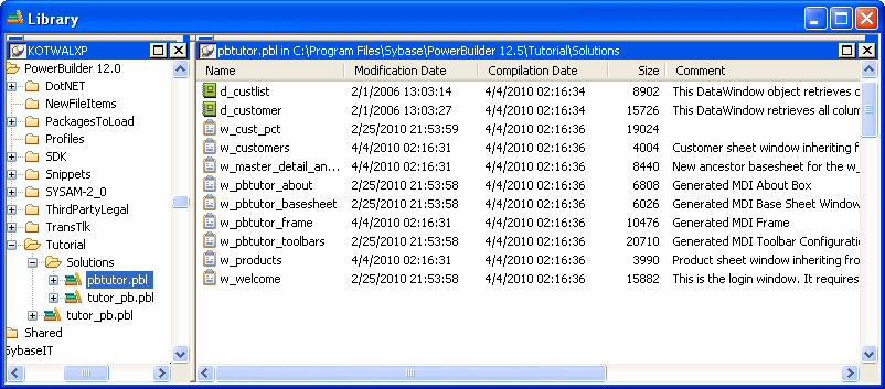 The sample shows the Library painter screen as it displays by default. At left is a Tree view of the drives that are on the computer or mapped to it. The drives are not expanded. On the right is a List view that displays the same drives under a column labeled Name. To the right are three more columns labeled Modification Date, Size, and Comments.