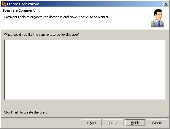 User wizard comment dialog