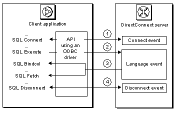 Sybase provides a DirectConnect ODBC driver that allows ODBC applications to access data through DirectConnect. 