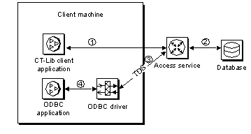 A request initiated from the client application processes through the DirectConnect access service to the database.