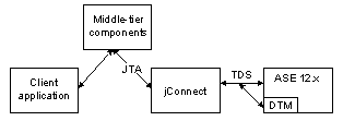 The distributed transaction management support with version 12.x contains a client application going into middle tier components using JTA to go into jConnect.Using TDS it goes into ASE 12.x.