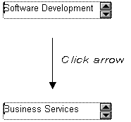 The sample shows a box containing the words Software Development with a pair of up and down arrows to the right. The user clicks the arrow, and the box or spin control is then shown with the next sample value, Business Services, displayed.