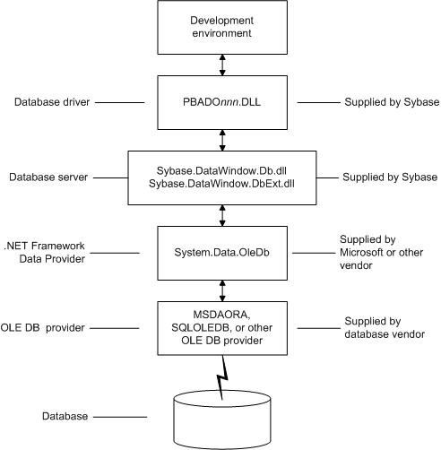 For an OLE DB ADO.NET connection, the development environment connects to the database via the P B A D O dot NET D L L, the Sybase dot PowerBuilder dot D B and D B ext D L Ls, the dot net framework data provider system dot data dot ole DB, and an ole d b data provider.